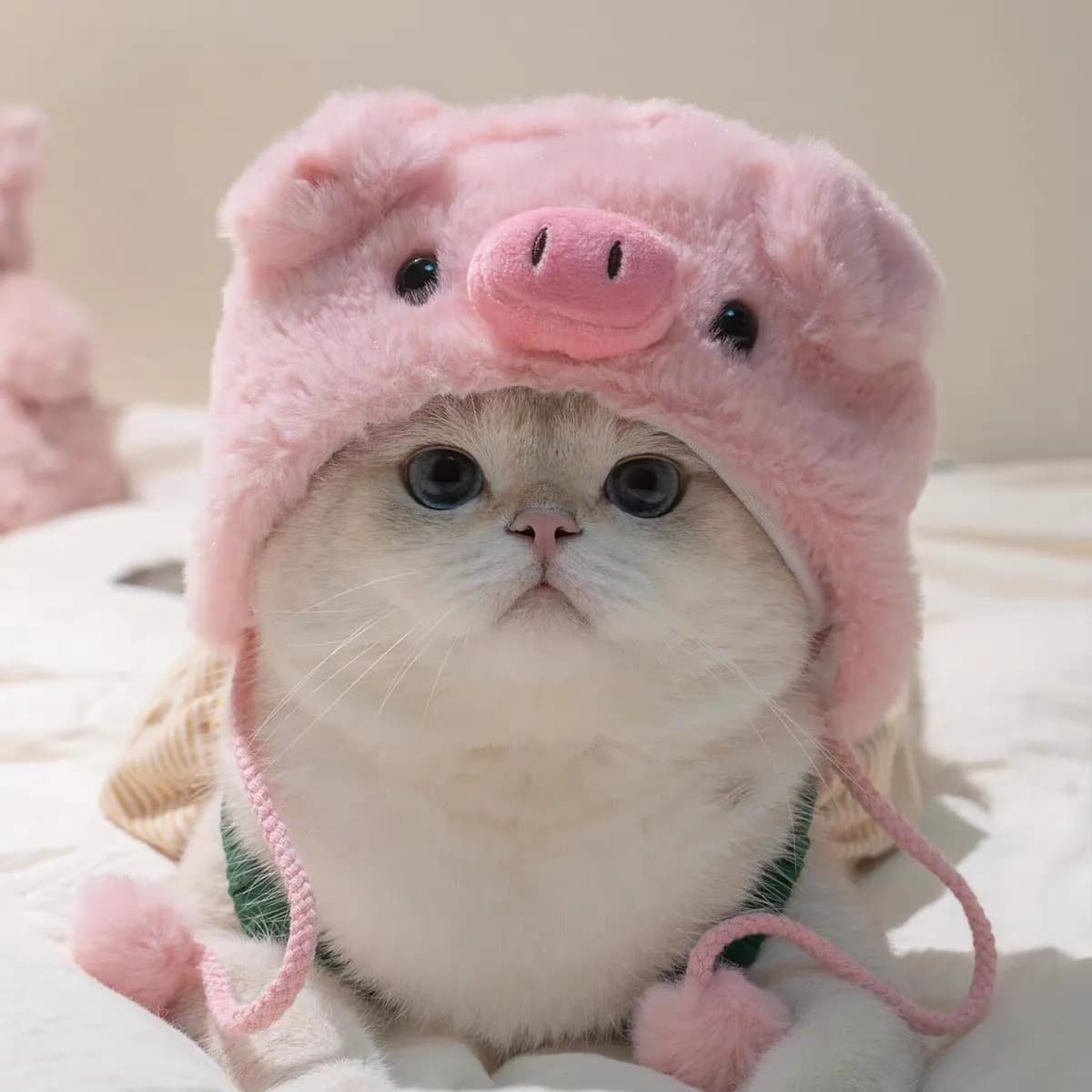 Adorable Cat Costume Hat