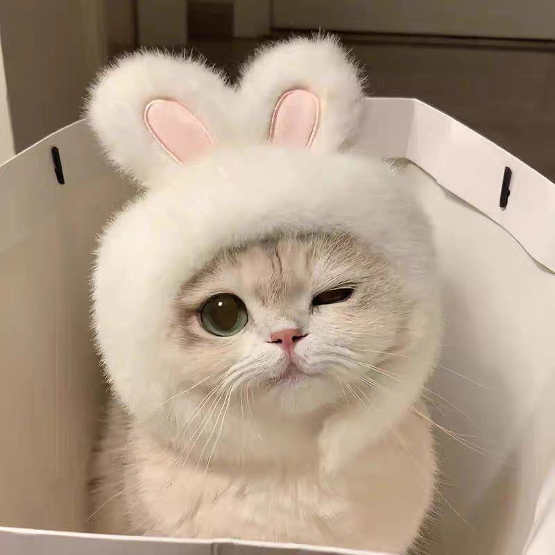 Adorable Cat Costume Hat