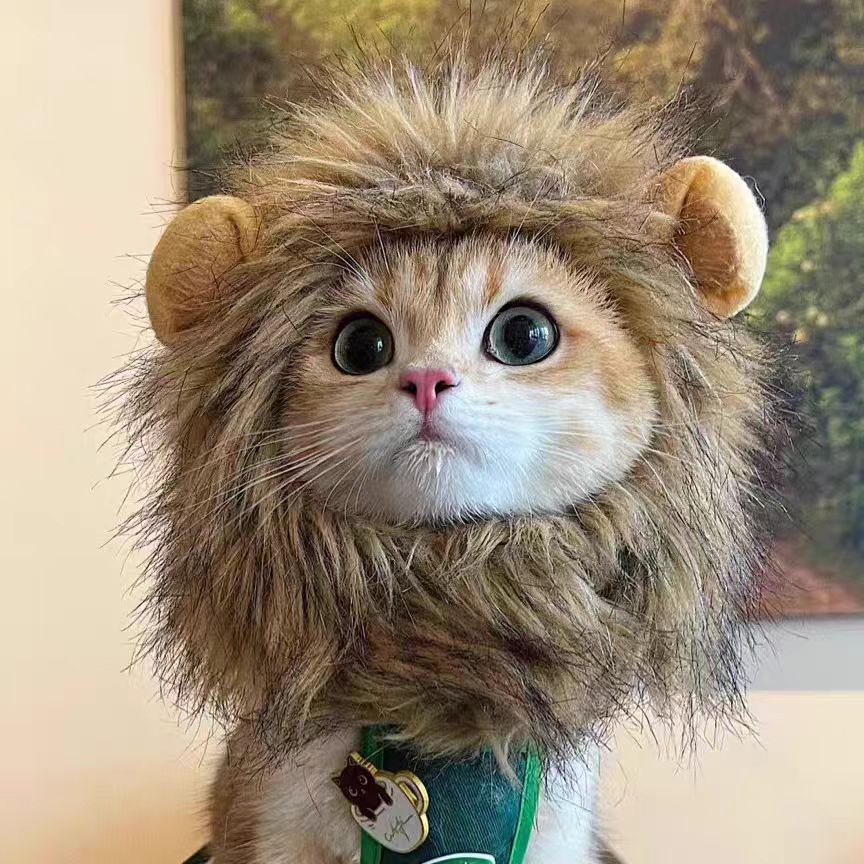 Adorable Cat Costume Hat