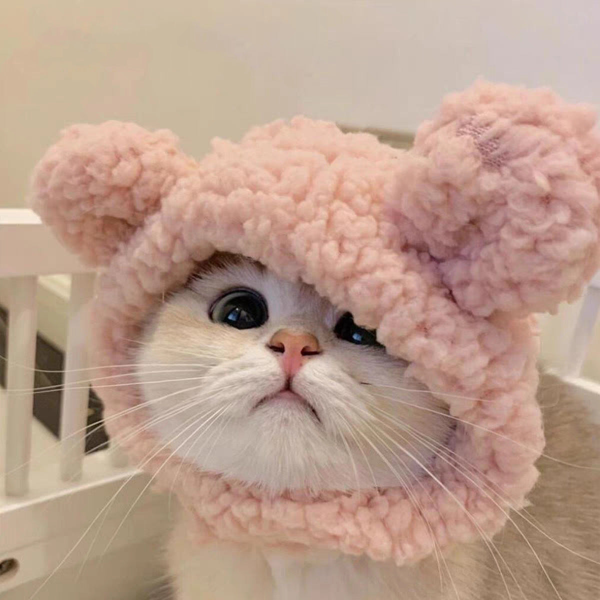 Adorable Cat Costume Hat
