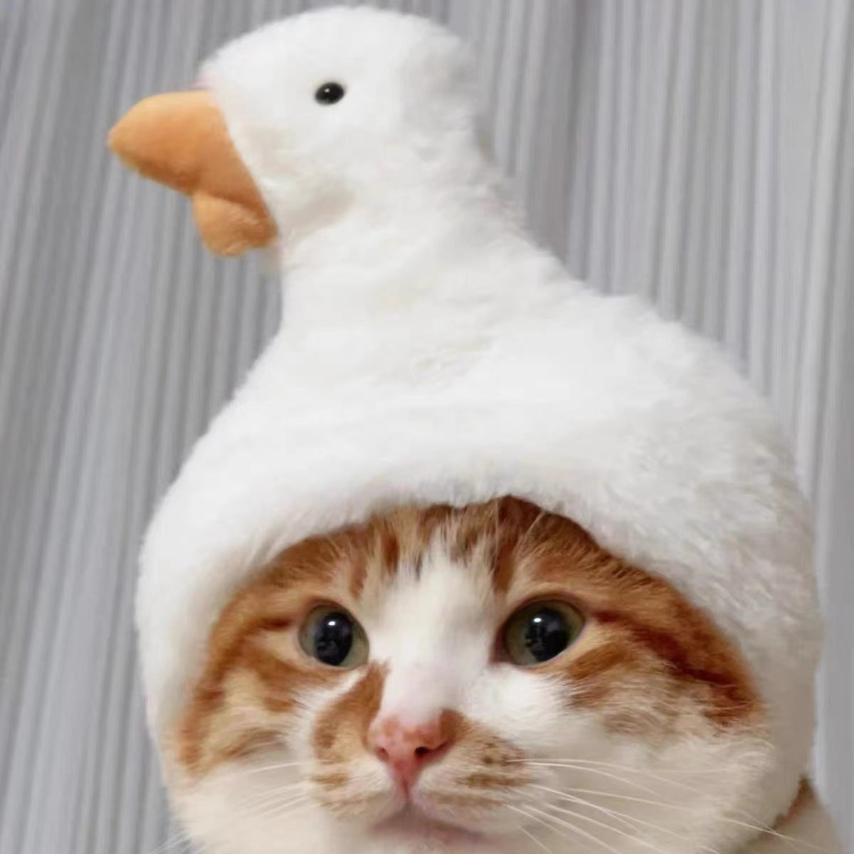 Adorable Cat Costume Hat