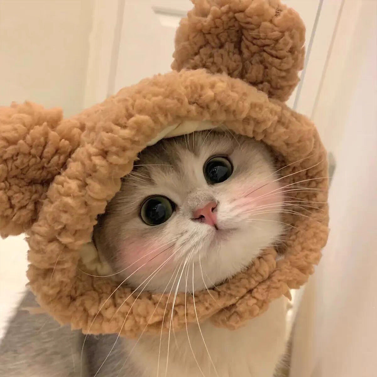 Adorable Cat Costume Hat