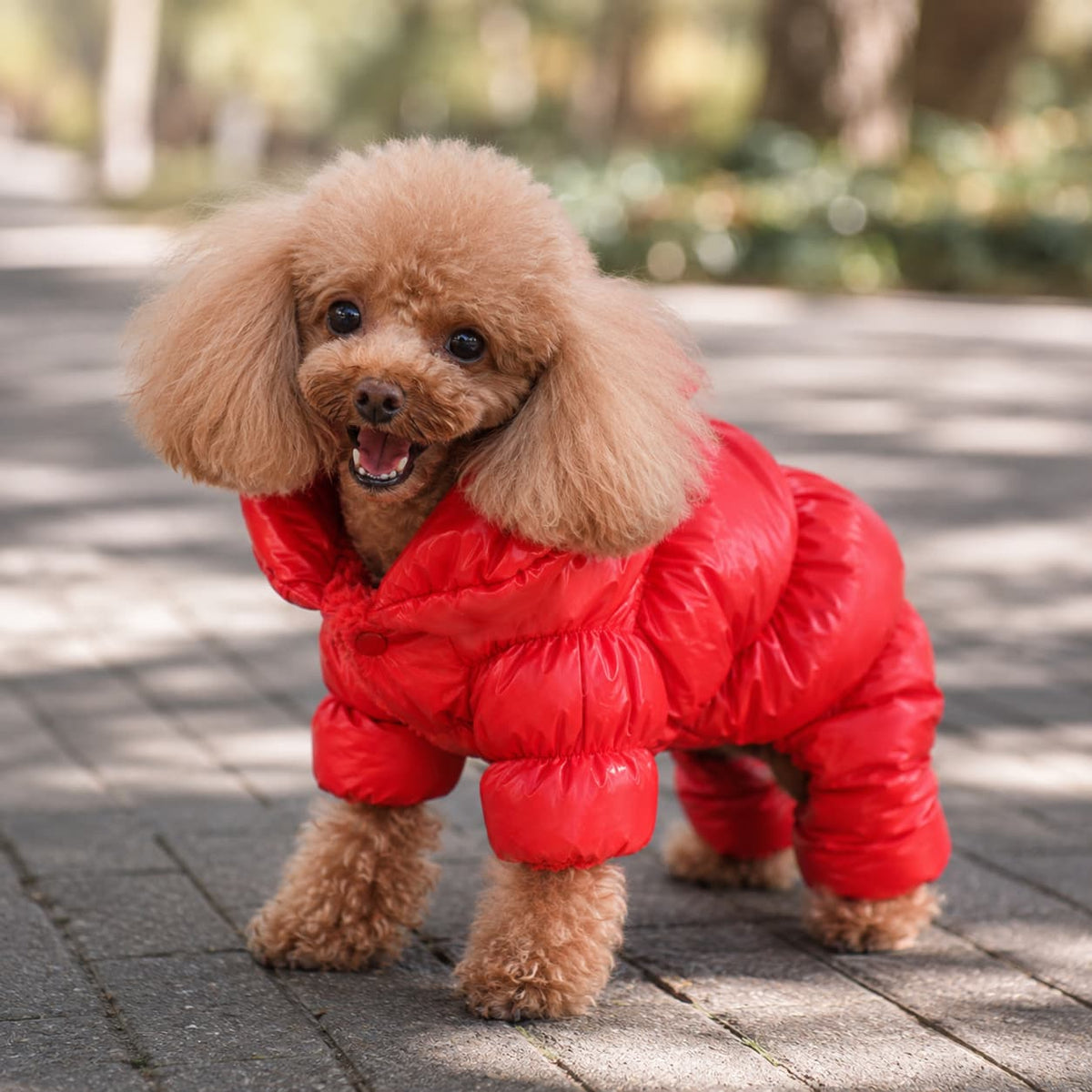 Dog puffer jacket