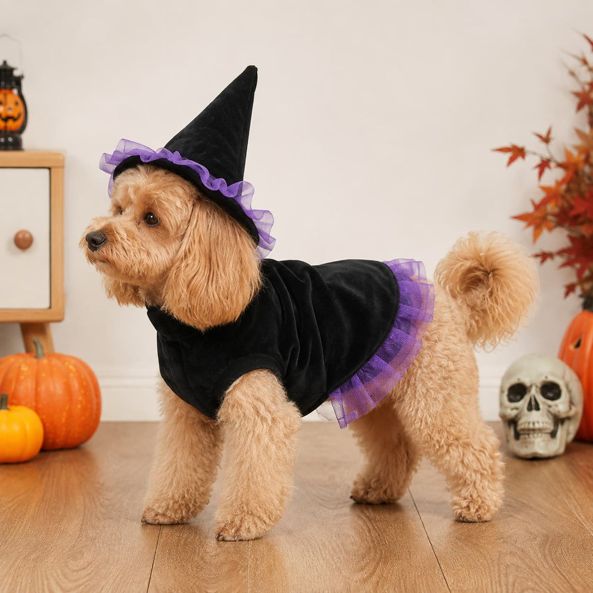 Wizard Pet Costume Halloween Dog Cat Outfit