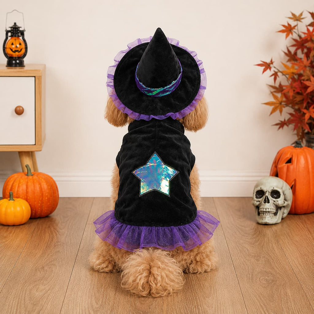 Wizard Pet Costume Halloween Dog Cat Outfit