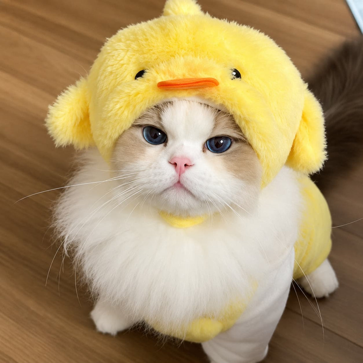 Adorable Cat Costume Hat