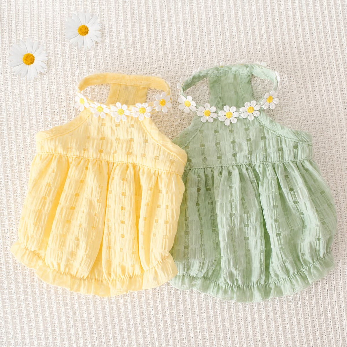 Chic Cat Summer Dress