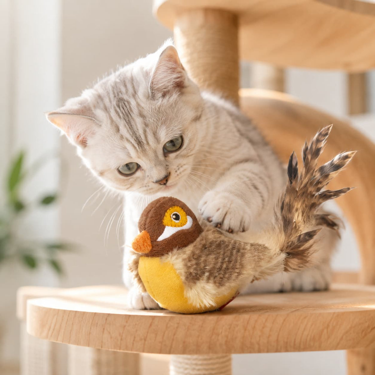 Interactive Plush Cat Toys with Sound