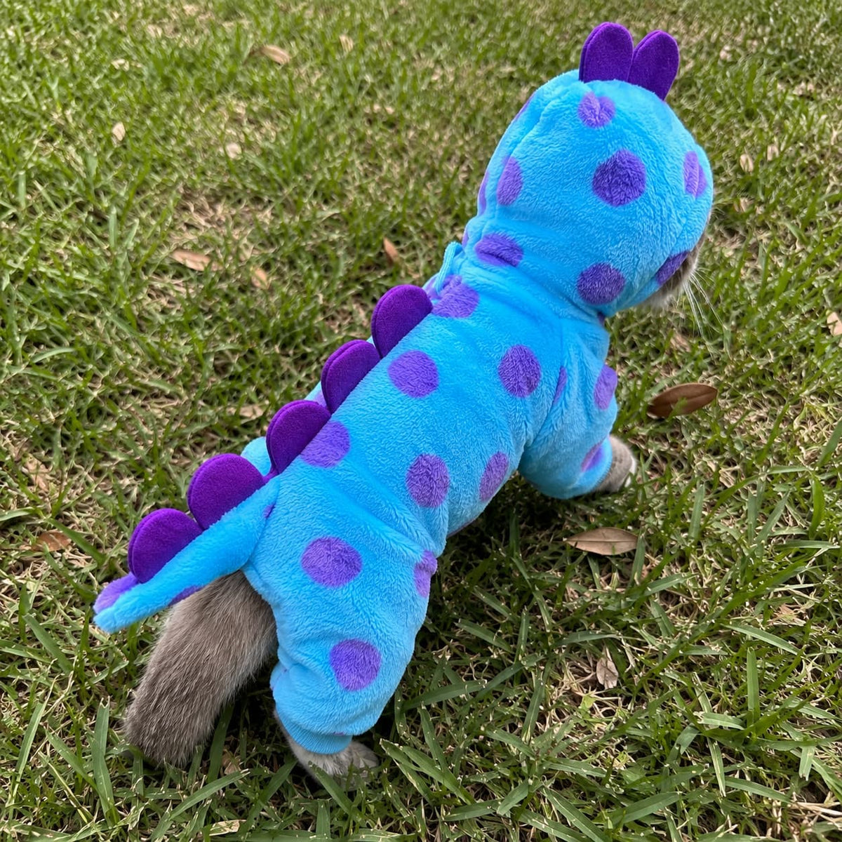Adorable Dragon Cat Costume