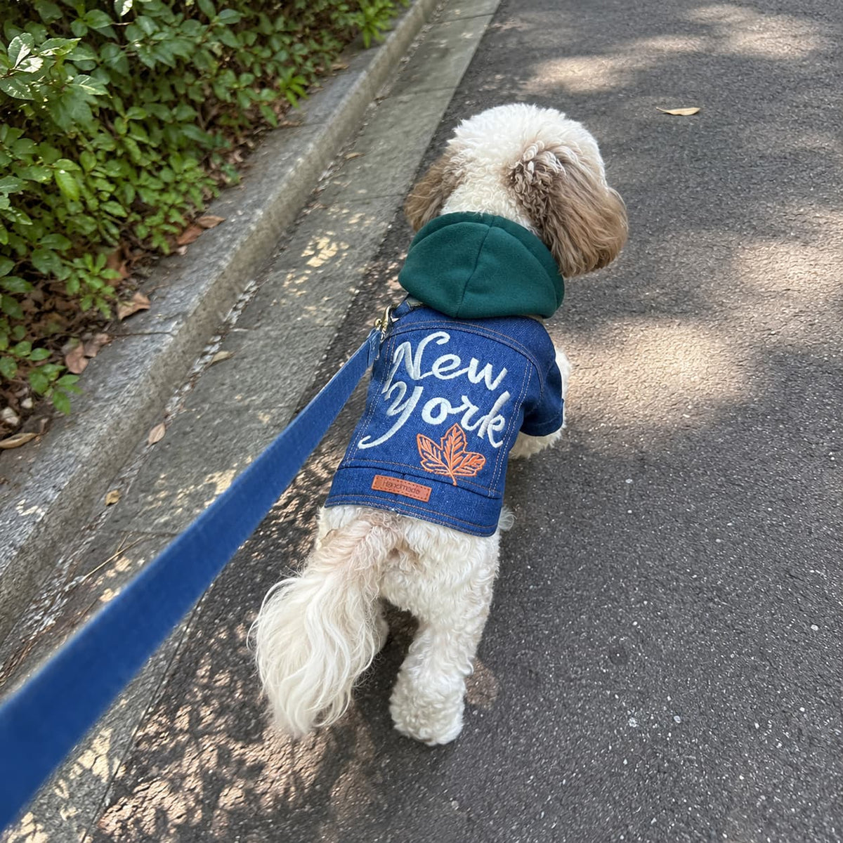 Denim jackets for pets