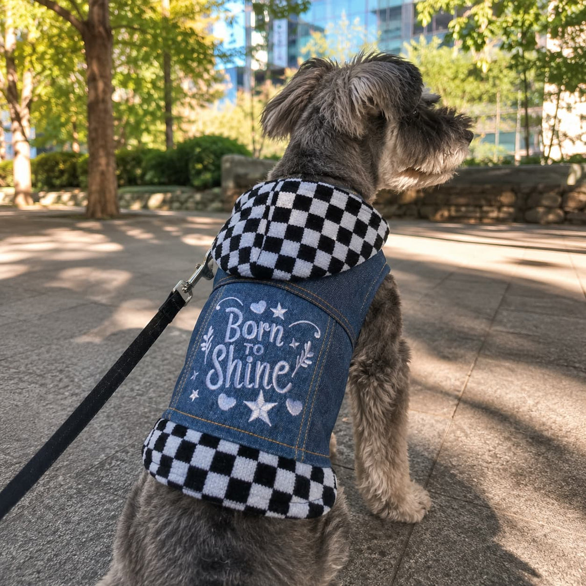 Denim jackets for pets
