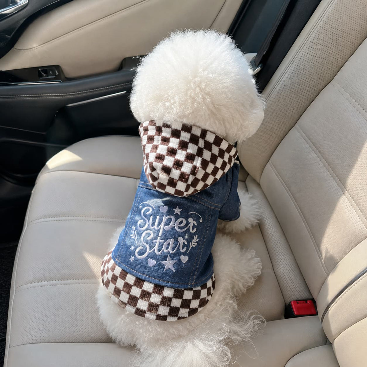 Denim jackets for pets