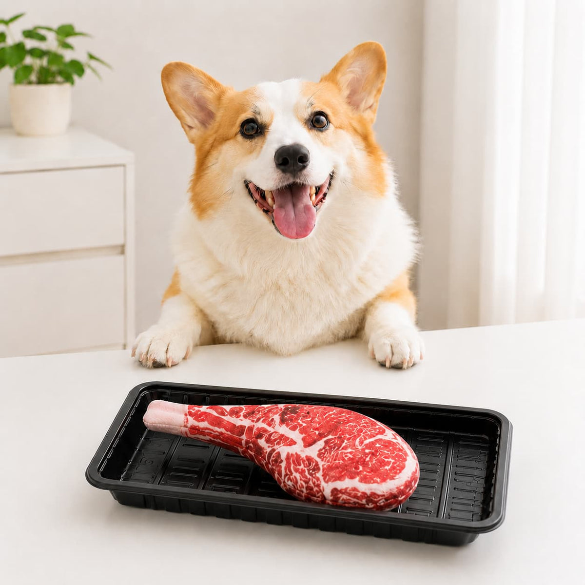 Pet chewable steak toys