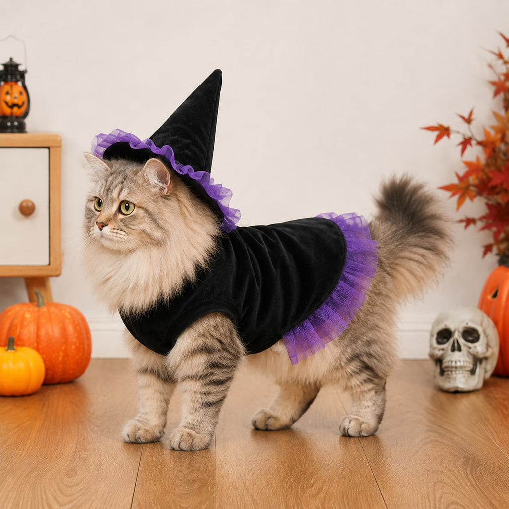 Wizard Pet Costume Halloween Dog Cat Outfit