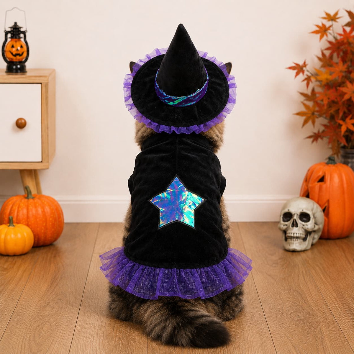 Wizard Pet Costume Halloween Dog Cat Outfit