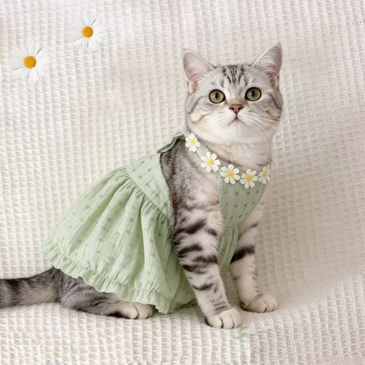 Chic Cat Summer Dress