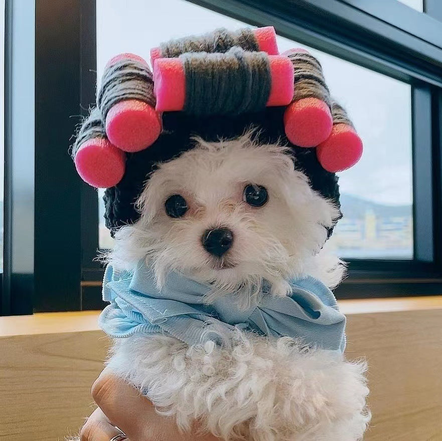 Adorable Cat Costume Hat